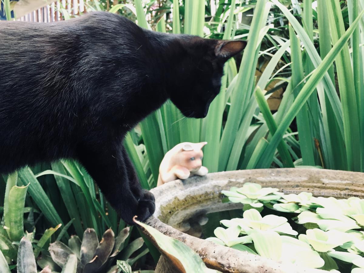 Wiang Kum Kam Resort Chiang Mai Zewnętrze zdjęcie